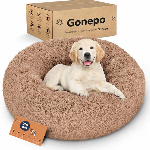 Comfy Nap Pet Lounge