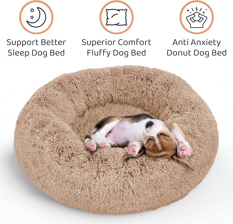 Comfy Nap Pet Lounge